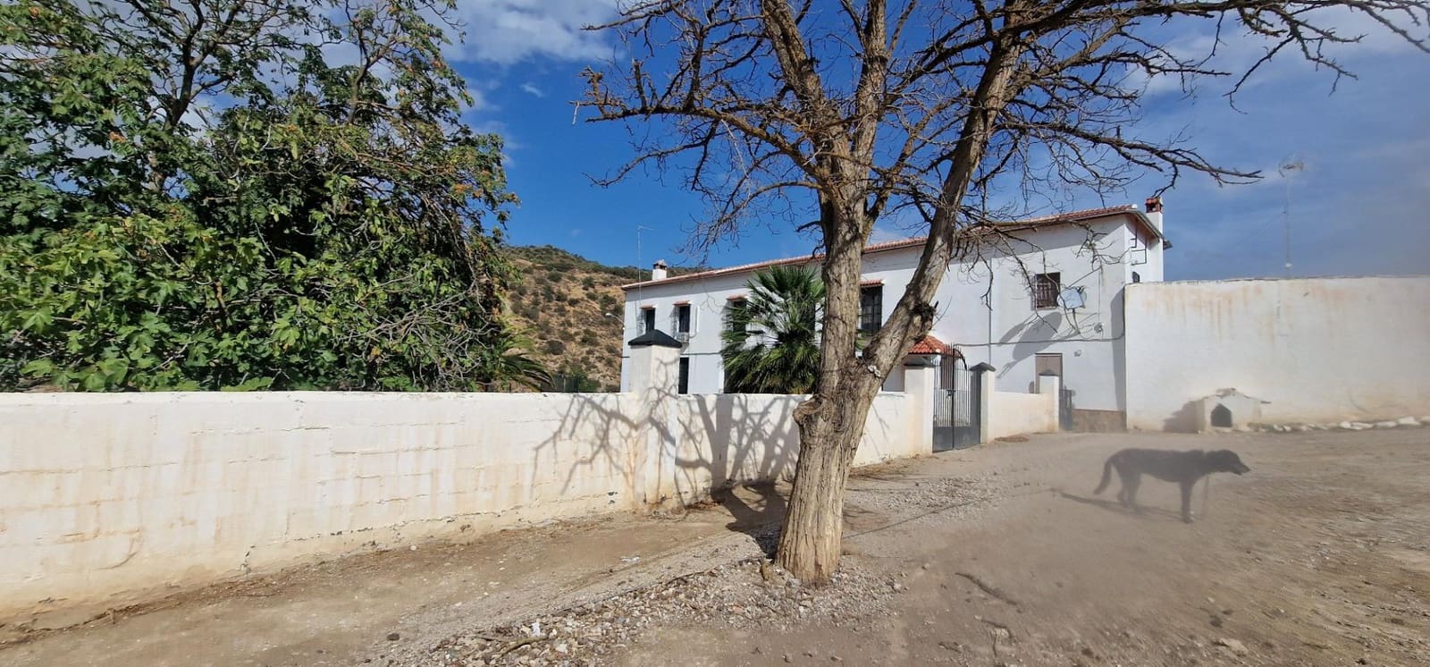 Finka/Dom wiejski na sprzedaż w Alameda z garażem - 3 700 000 € (Ref: 8698160)