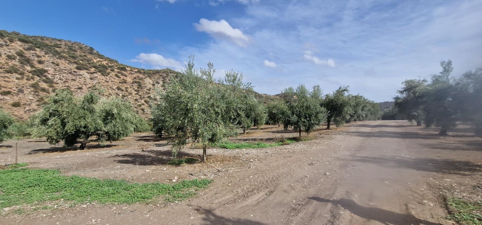 Finka/Dom wiejski na sprzedaż w Alameda z garażem - 3 700 000 € (Ref: 8698160)