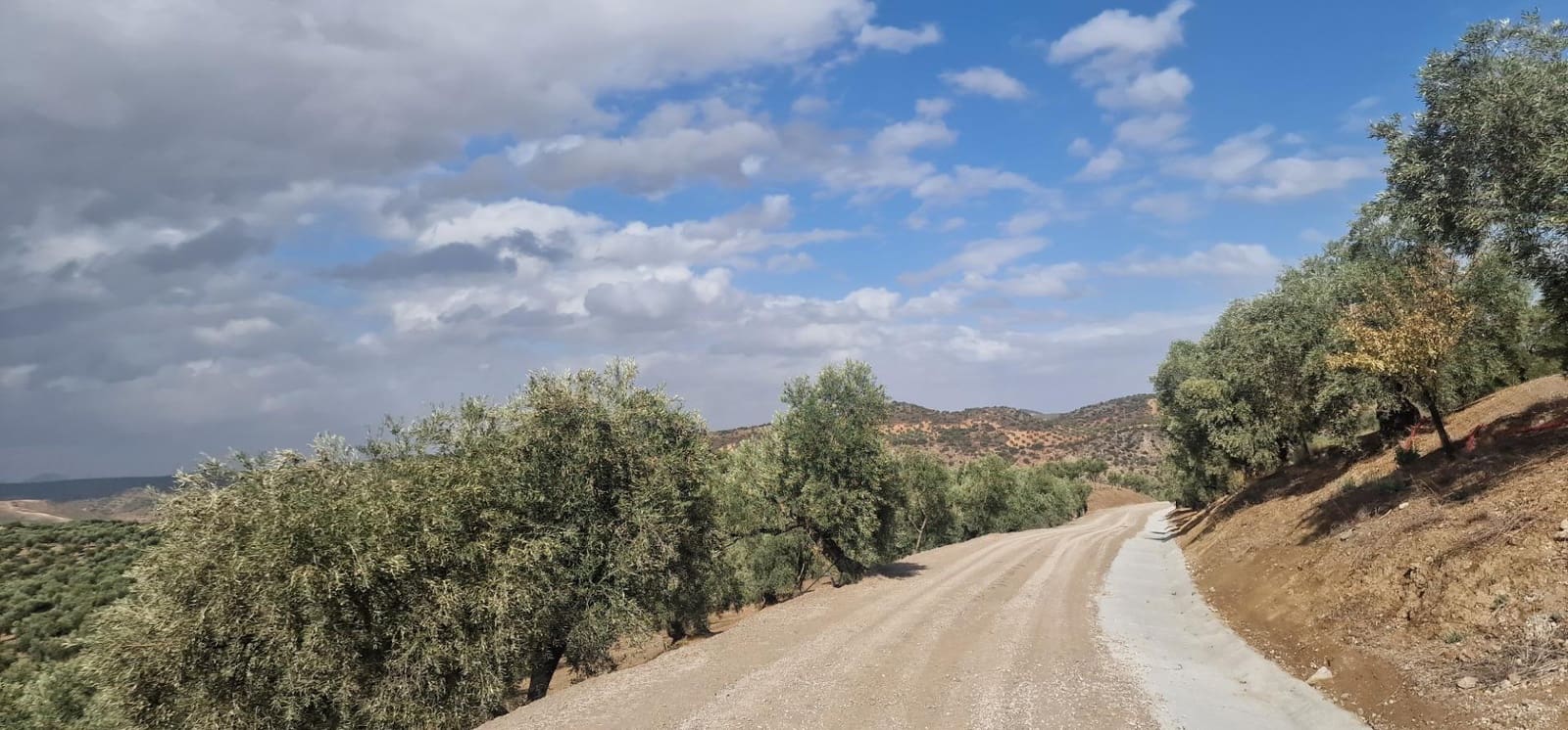 Finka/Dom wiejski na sprzedaż w Alameda z garażem - 3 700 000 € (Ref: 8698160)