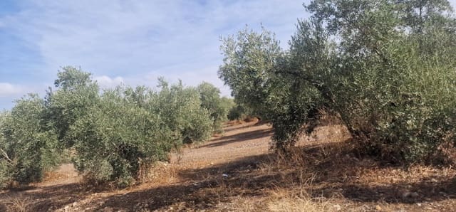 Finka/Dom wiejski na sprzedaż w Alameda z garażem - 3 700 000 € (Ref: 8698160)