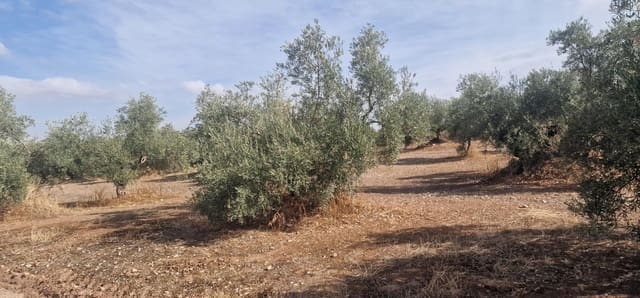 Finka/Dom wiejski na sprzedaż w Alameda z garażem - 3 700 000 € (Ref: 8698160)