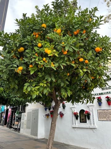 4 makuuhuone Huoneisto myytävänä paikassa Torremolinos mukana uima-altaan 
autotalli - 342 500 € (Ref: 8836790)