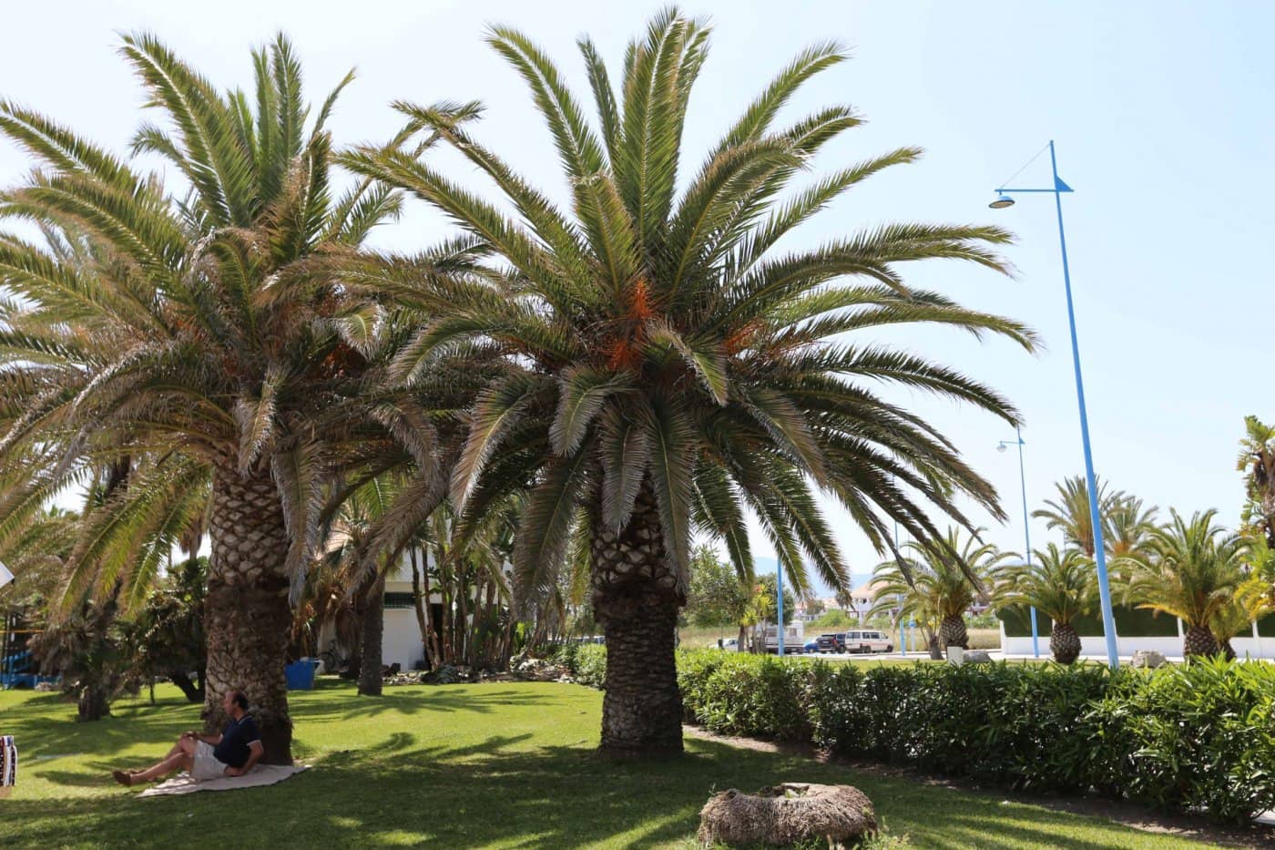 4 bedroom Villa for sale in San Pedro de Alcantara with pool garage - € 1,500,000 (Ref: 8996861)