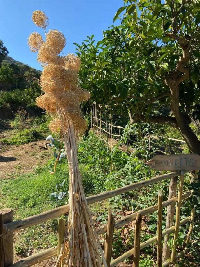 8 soveværelse Finca/Landehus til salg i Monda med swimmingpool - € 1.295.000 (Ref: 8998597)