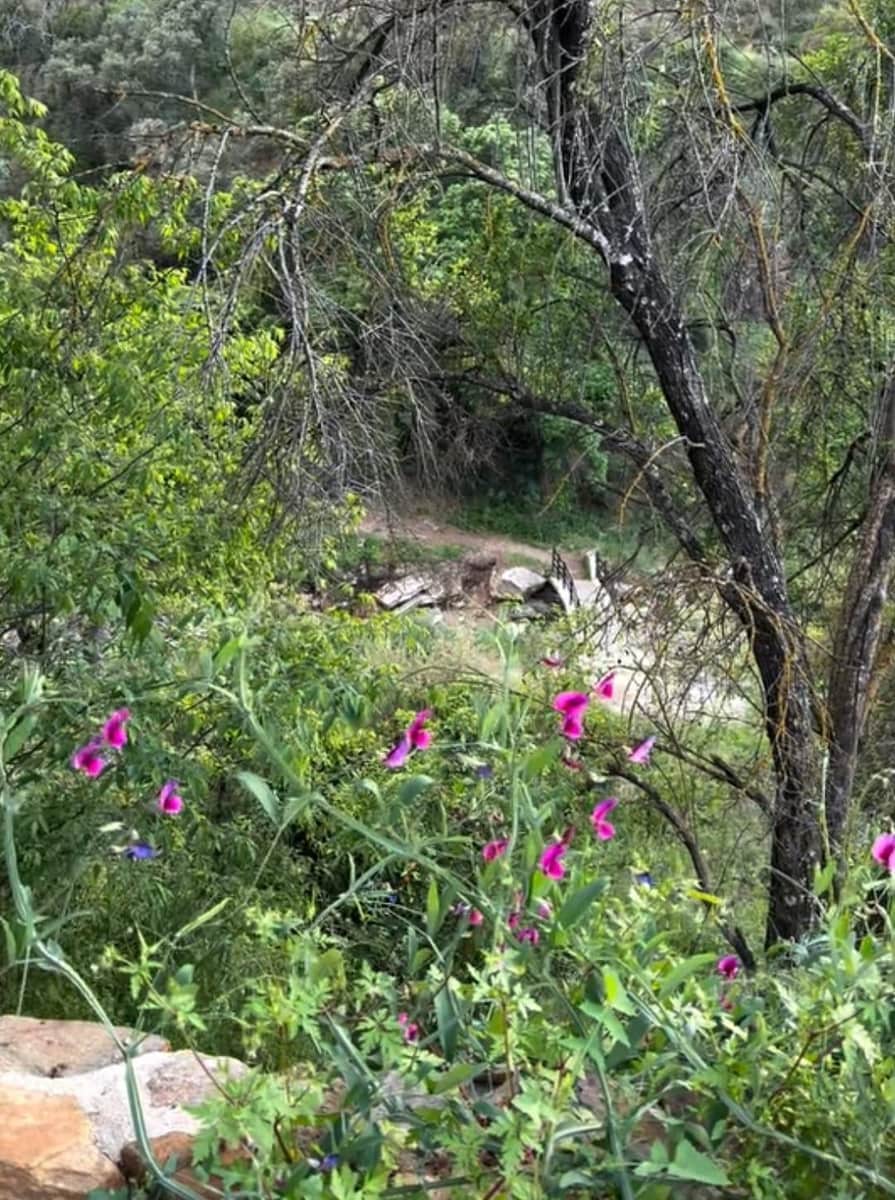 8 soveværelse Finca/Landehus til salg i Monda med swimmingpool - € 1.295.000 (Ref: 8998597)