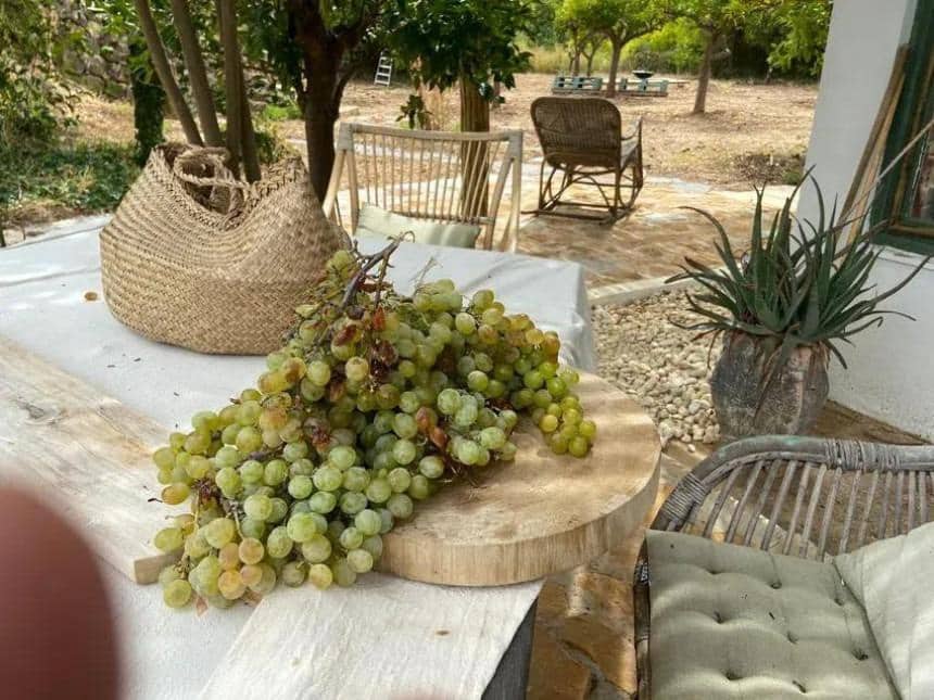 Finca/Casa Rural de 7 habitaciones en Monda en venta con piscina - 1.190.000 € (Ref: 8998597)