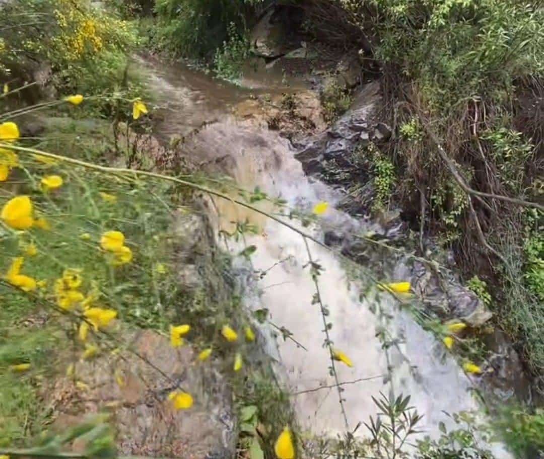 Finca/Casa Rural de 7 habitaciones en Monda en venta con piscina - 1.190.000 € (Ref: 8998597)