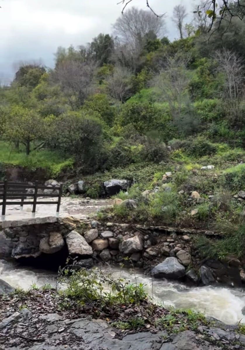 Finca/Casa Rural de 7 habitaciones en Monda en venta con piscina - 1.190.000 € (Ref: 8998597)