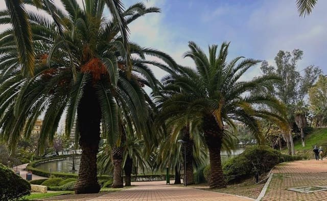 1 camera da letto Appartamento in vendita in Benalmádena con garage - 228.000 € (Rif: 9014214)