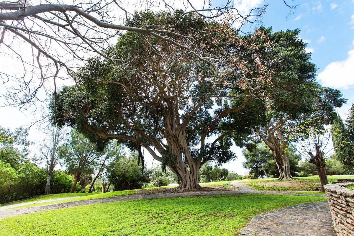 1 sypialnia Apartament na sprzedaż w Benalmadena - 210 000 € (Ref: 9230482)