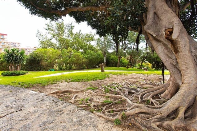 1 sypialnia Apartament na sprzedaż w Benalmádena - 210 000 € (Ref: 9230482)