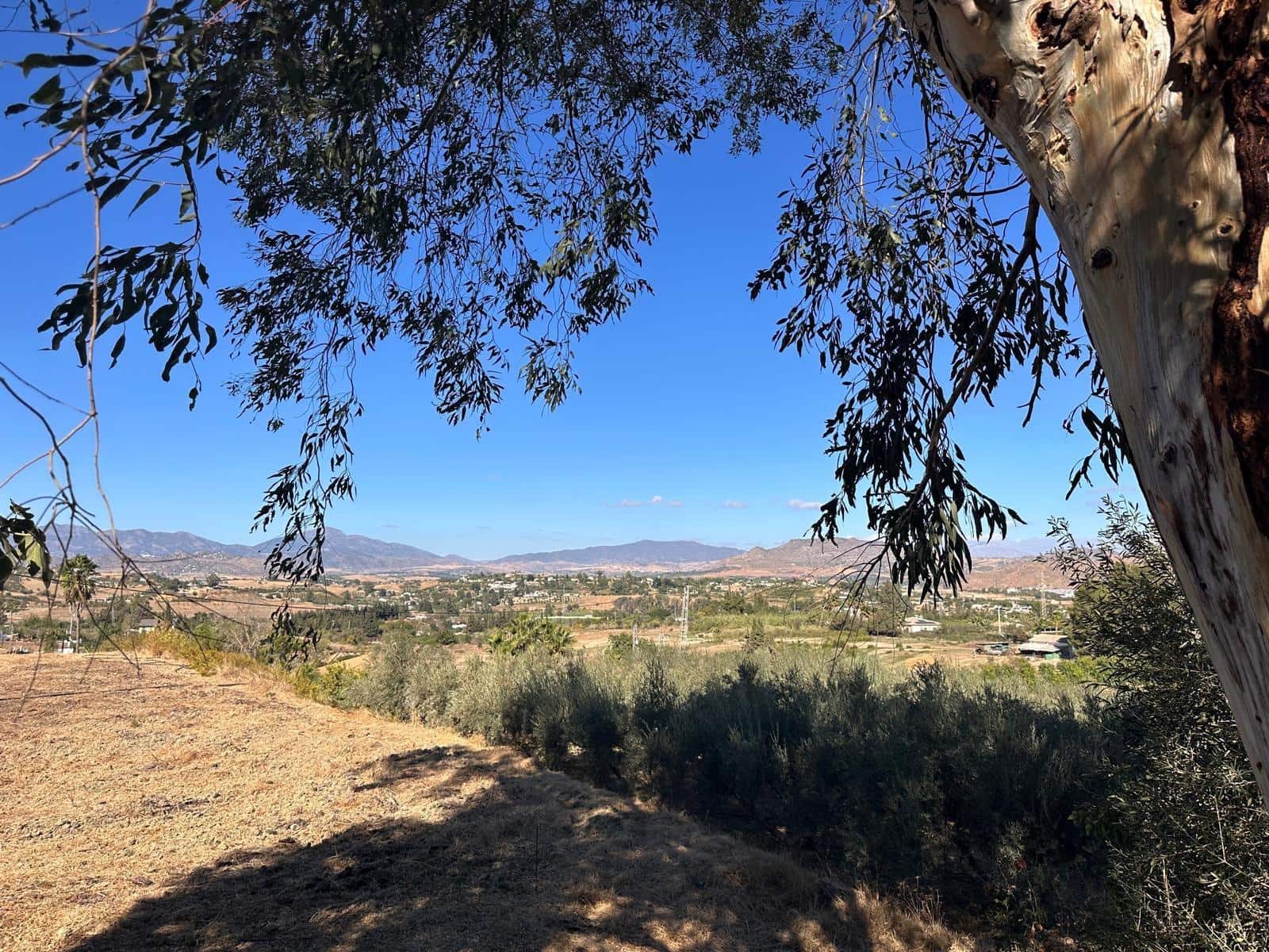 13 soveværelse Finca/Landehus til salg i Cartama - € 750.000 (Ref: 9431342)