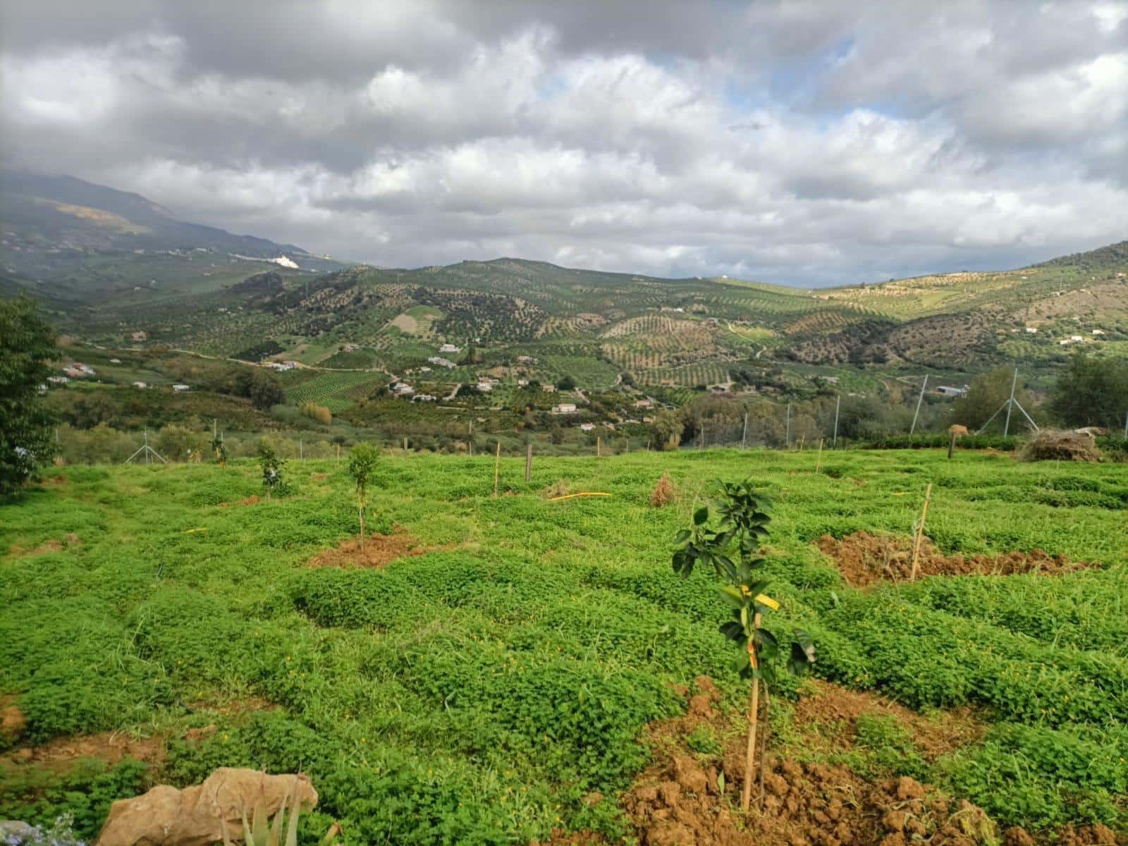 2 quarto Quinta/Casa Rural para venda em Tolox com piscina - 330 000 € (Ref: 9474944)