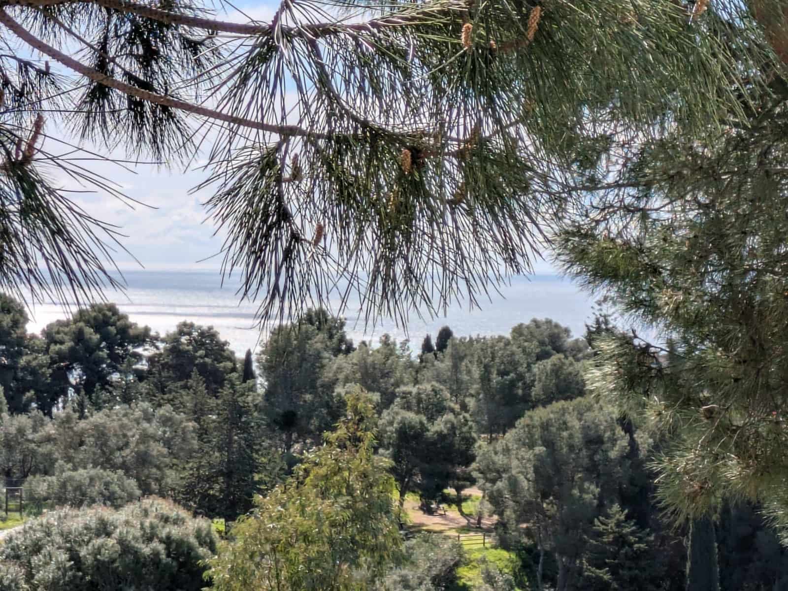 4 bedroom Villa for sale in Torremuelle with pool garage - € 879,000 (Ref: 9679925)