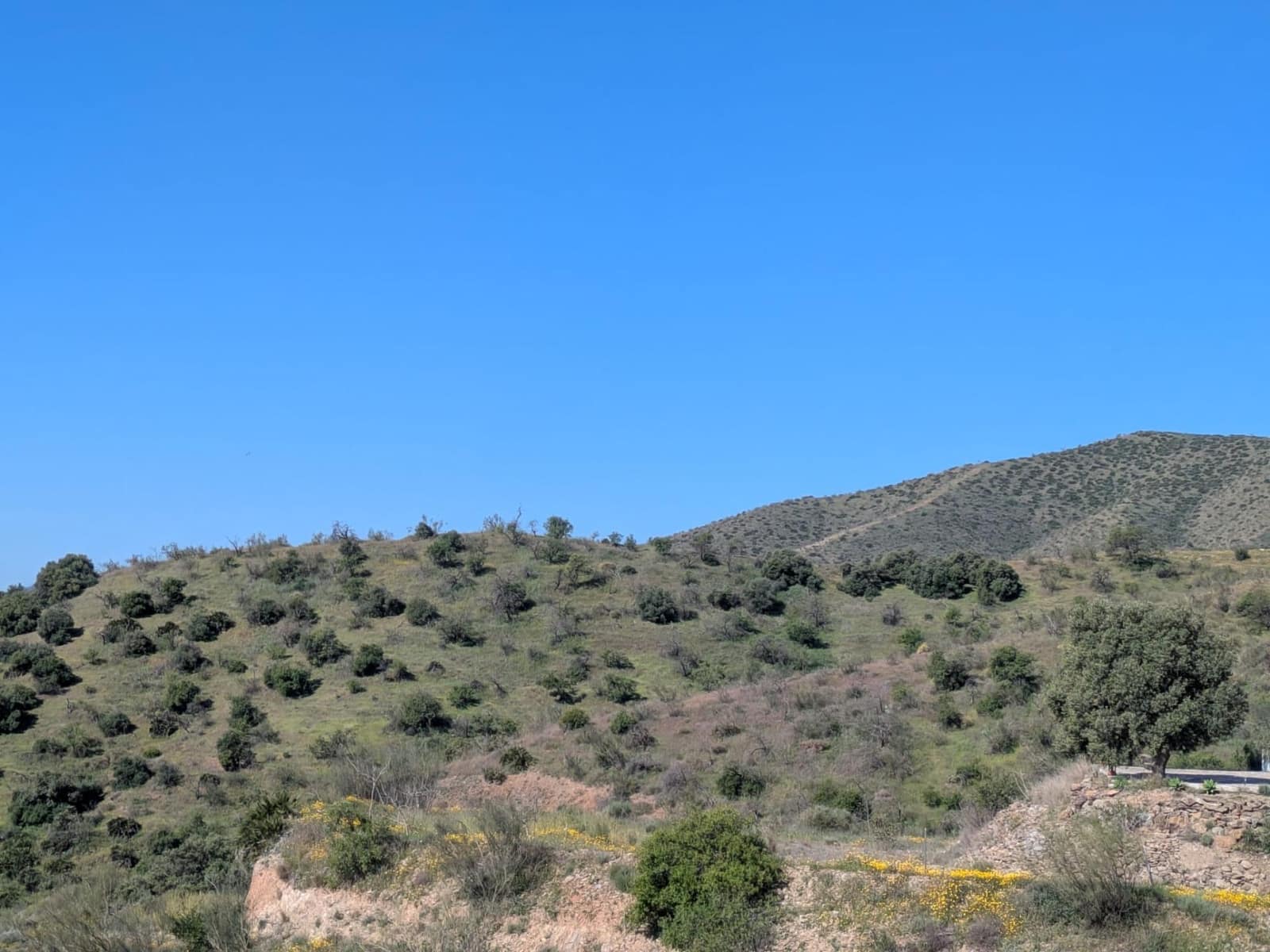 Building Plot for sale in Estacion de Cartama - € 100,000 (Ref: 9690677)