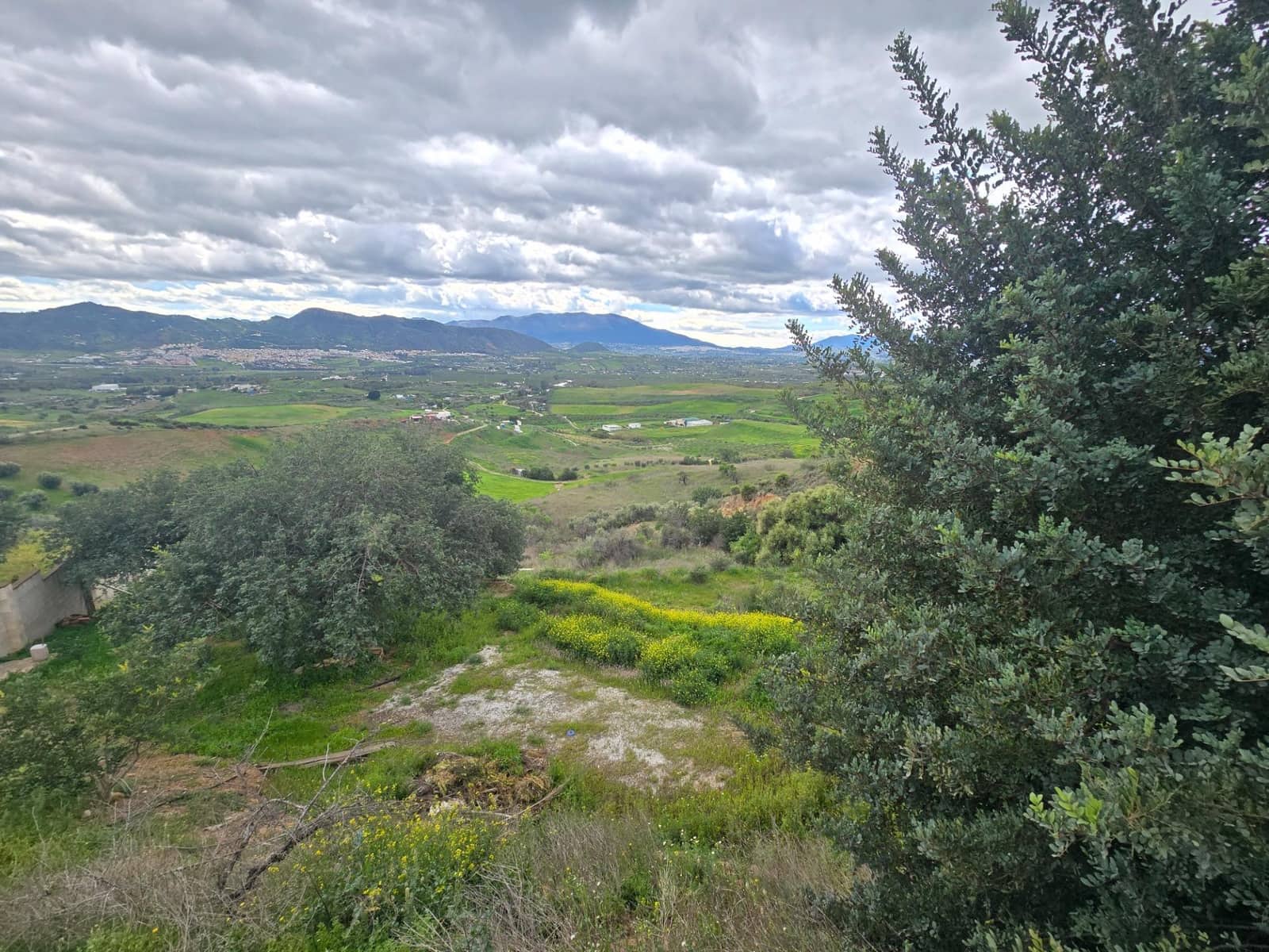 Building Plot for sale in Estacion de Cartama - € 100,000 (Ref: 9690677)