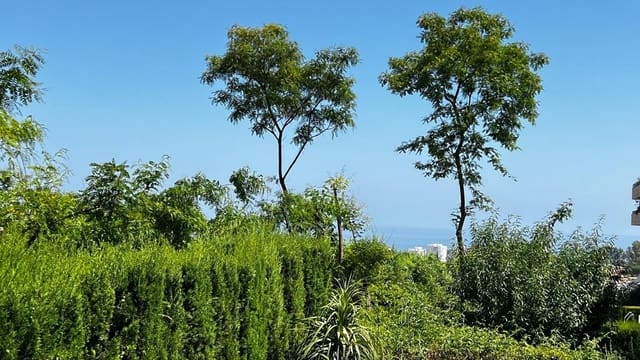 3 soveværelse Lejlighed til salg i Torremolinos med swimmingpool garage - € 490.000 (Ref: 9881991)