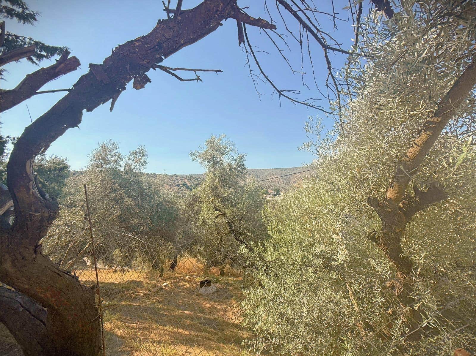 3 bedroom Finca/Country House for sale in Villanueva de Algaidas with garage - € 179,000 (Ref: 9892439)