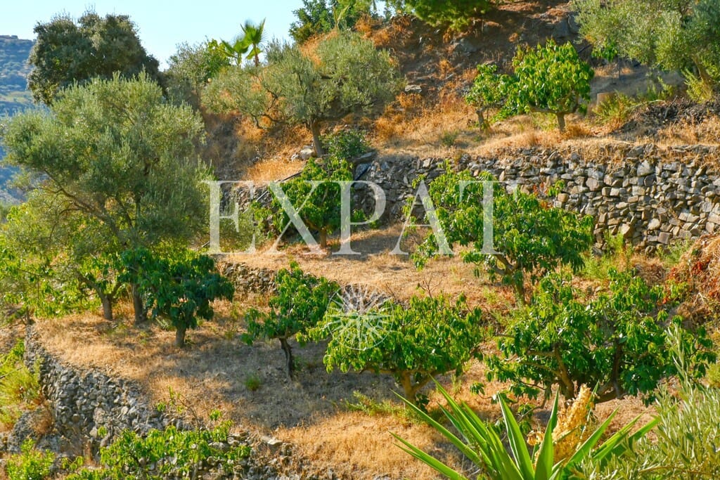 5 chambre Finca/Maison de Campagne à vendre à Competa avec piscine - 720 000 € (Ref: 10123587)