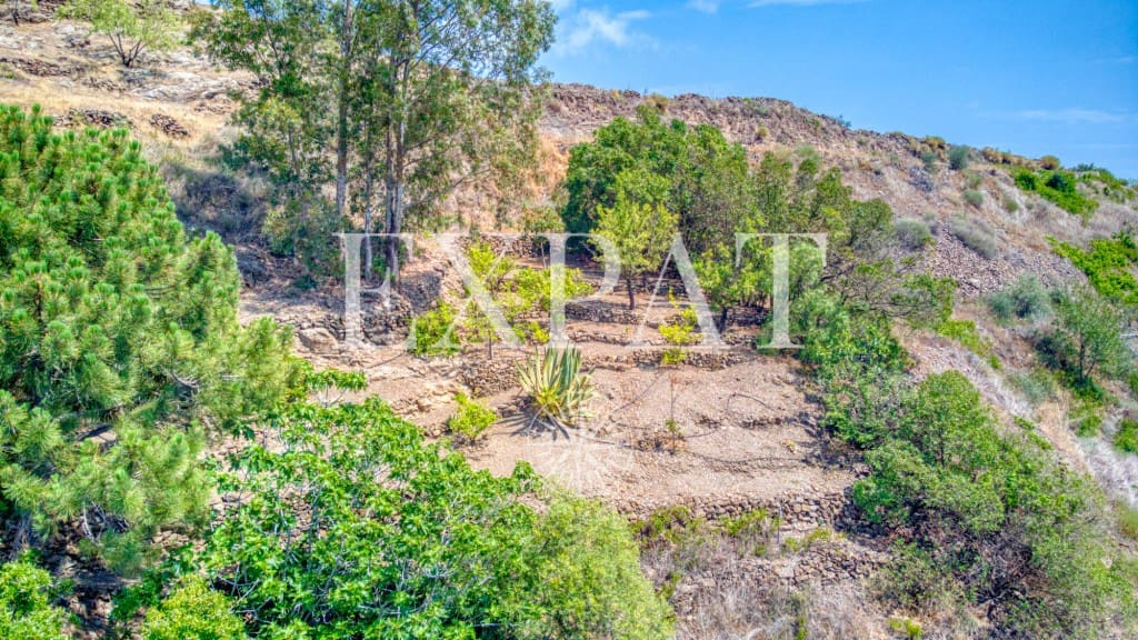 2 bedroom Finca/Country House for sale in Sayalonga with pool - € 455,000 (Ref: 7078054)