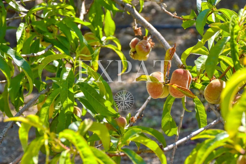 6 soveværelse Finca/Landehus til salg i Sayalonga med swimmingpool garage - € 740.000 (Ref: 7500039)