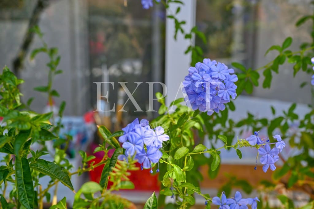 3 sypialnia Finka/Dom wiejski na sprzedaż w Arenas z basenem - 439 000 € (Ref: 7707856)