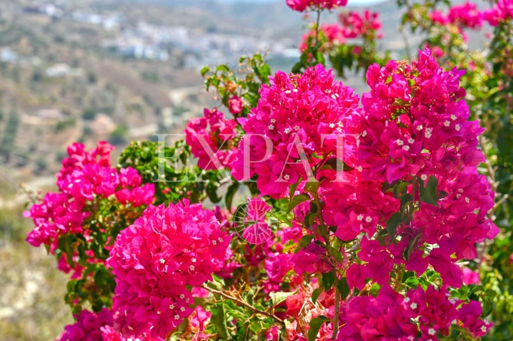 3 sypialnia Finka/Dom wiejski na sprzedaż w Arenas z basenem - 439 000 € (Ref: 7707856)