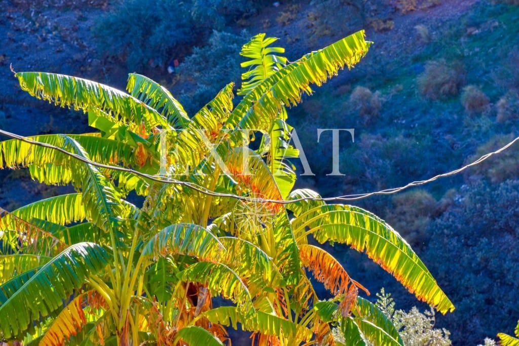 2 soveværelse Finca/Landehus til salg i Competa - € 180.000 (Ref: 7948056)