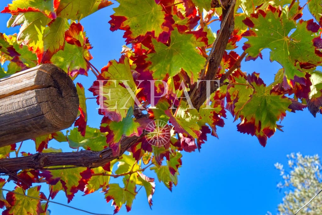 2 soveværelse Finca/Landehus til salg i Competa - € 180.000 (Ref: 7948056)