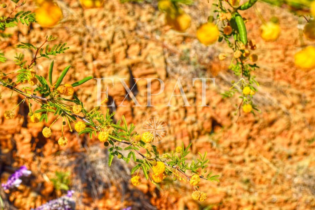 2 soveværelse Finca/Landehus til salg i Competa - € 180.000 (Ref: 7948056)