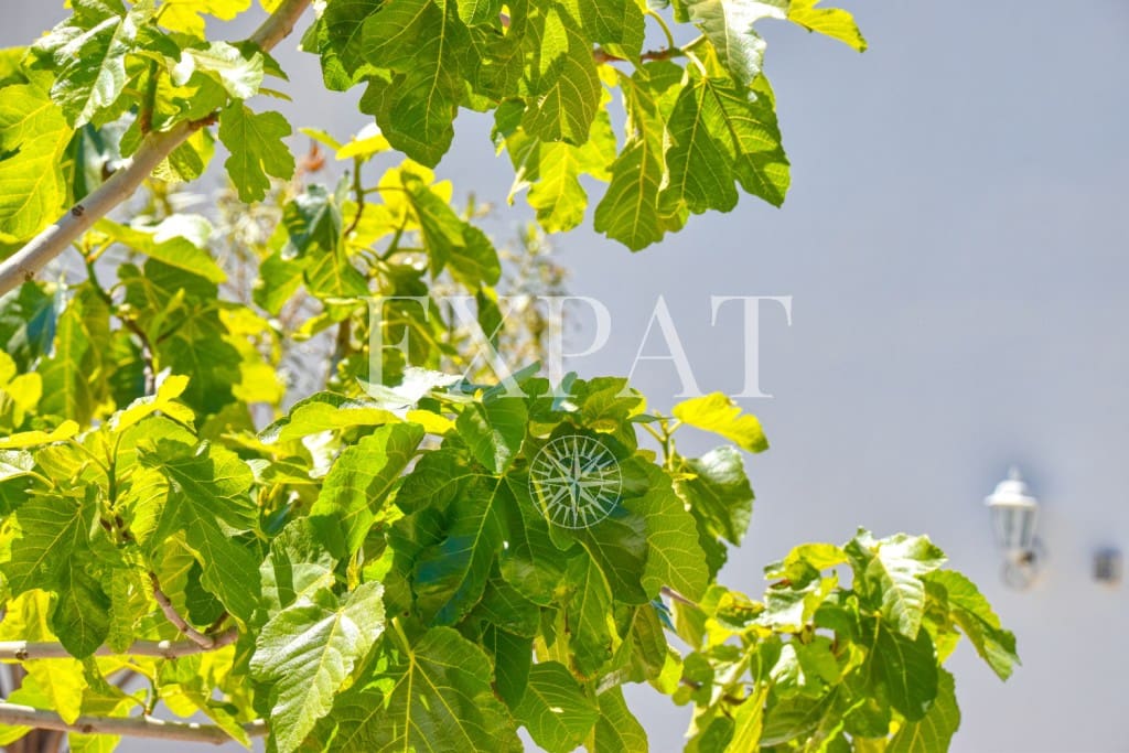 3 soveværelse Finca/Landehus til salg i Sayalonga med swimmingpool - € 299.000 (Ref: 8225892)