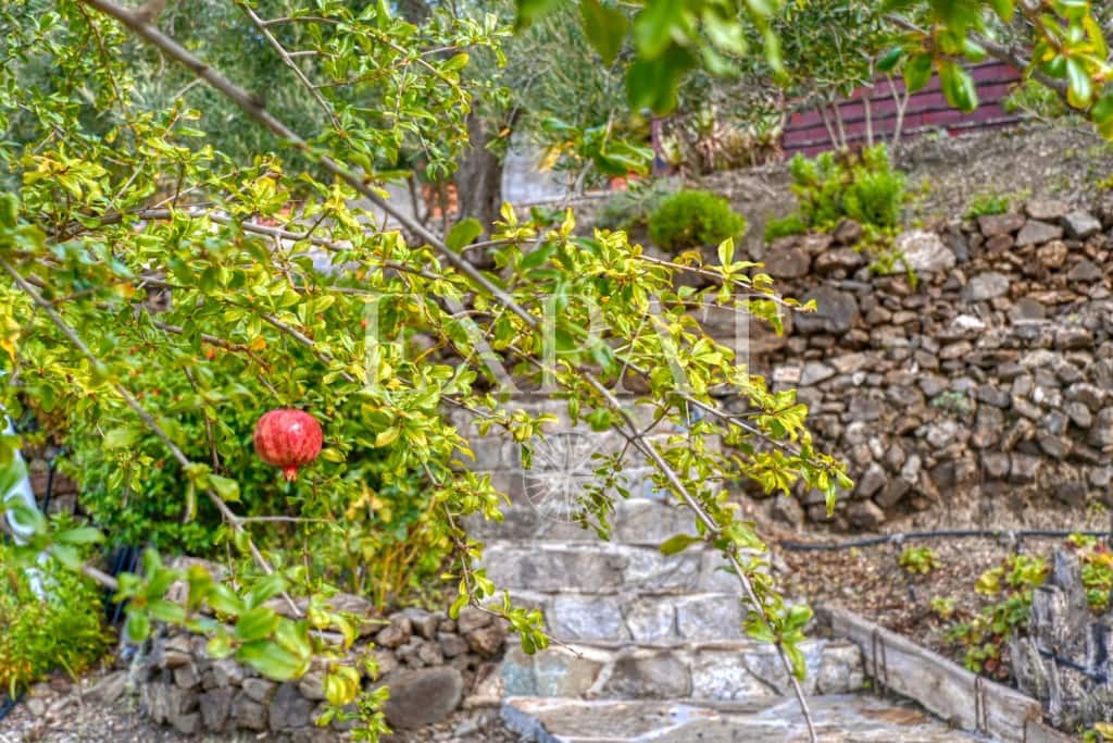 3 soveværelse Finca/Landehus til salg i Sayalonga med swimmingpool garage - € 698.000 (Ref: 8665049)