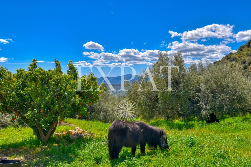 6 soveværelse Finca/Landehus til salg i Periana med swimmingpool - € 585.000 (Ref: 8902925)