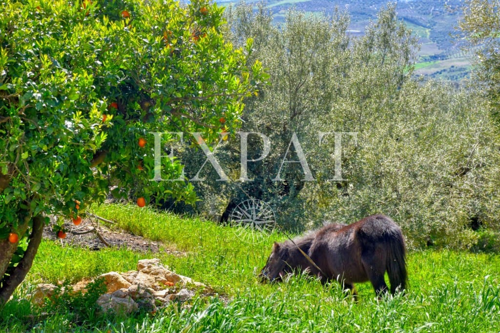 6 soveværelse Finca/Landehus til salg i Periana med swimmingpool - € 585.000 (Ref: 8902925)