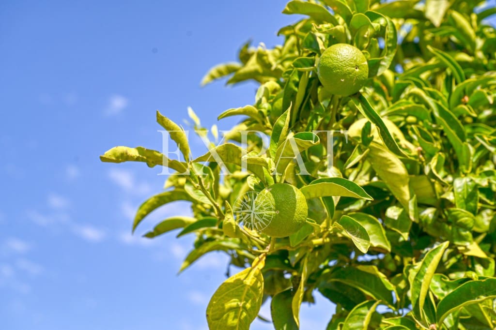 3 slaapkamer Finca/Landhuis te koop in Competa met zwembad - € 549.000 (Ref: 9098965)