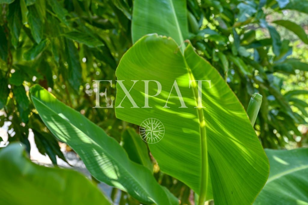 4 soveværelse Finca/Landehus til salg i Canillas de Albaida med swimmingpool garage - € 390.000 (Ref: 9124883)