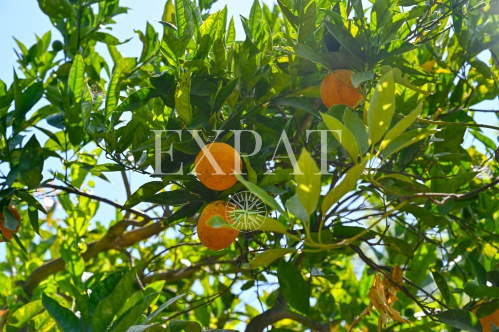 4 soveværelse Finca/Landehus til salg i Canillas de Albaida med swimmingpool garage - € 390.000 (Ref: 9124883)