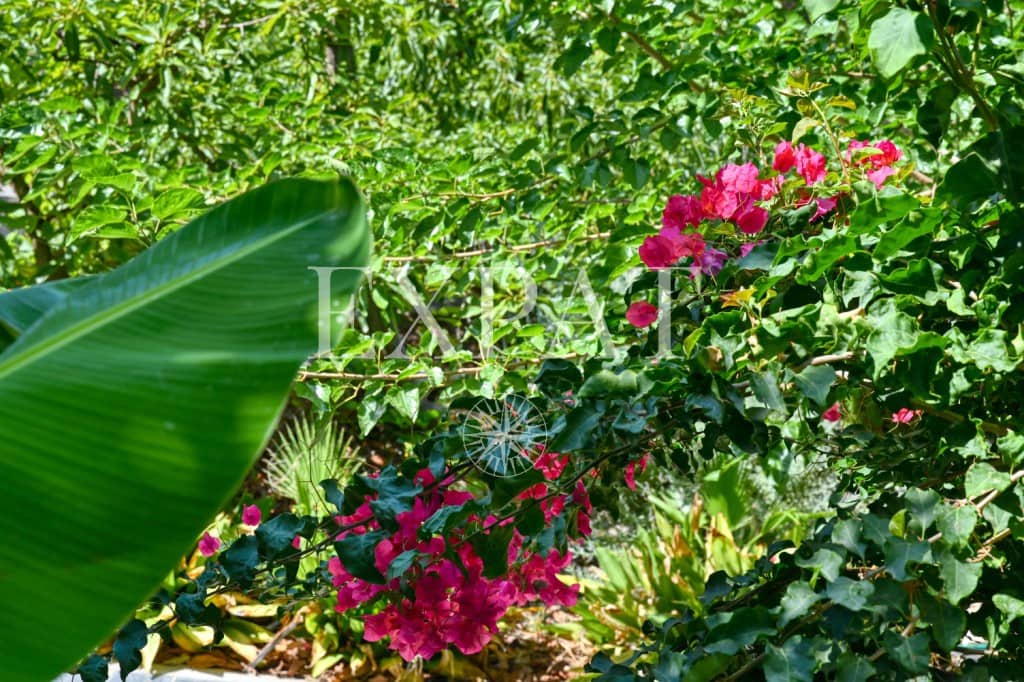 4 soveværelse Finca/Landehus til salg i Canillas de Albaida med swimmingpool garage - € 390.000 (Ref: 9124883)