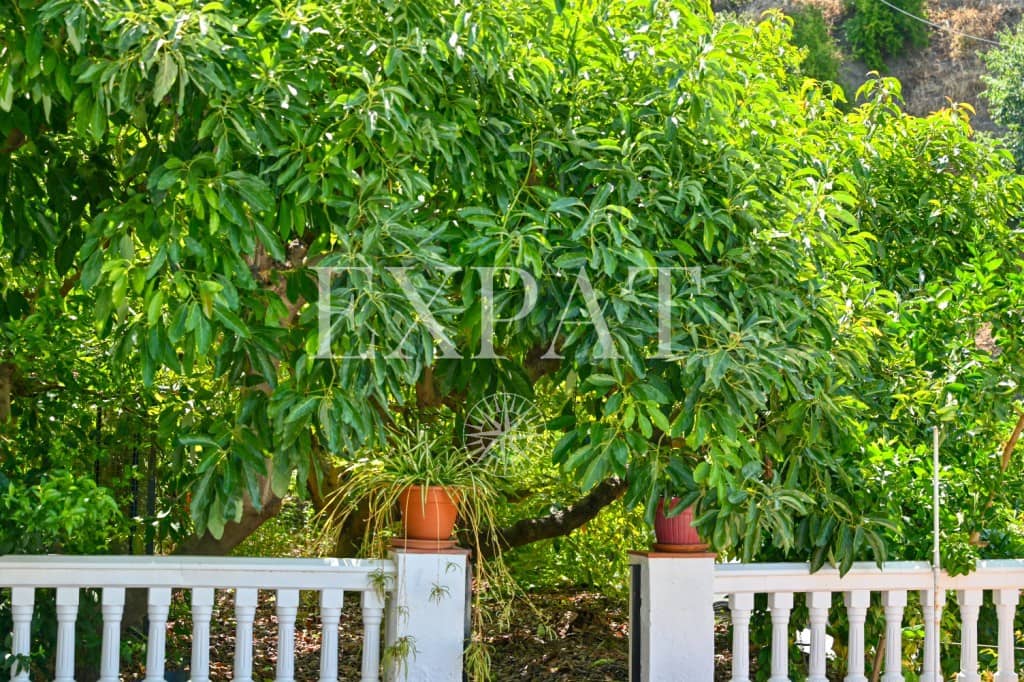 4 soveværelse Finca/Landehus til salg i Canillas de Albaida med swimmingpool garage - € 390.000 (Ref: 9124883)