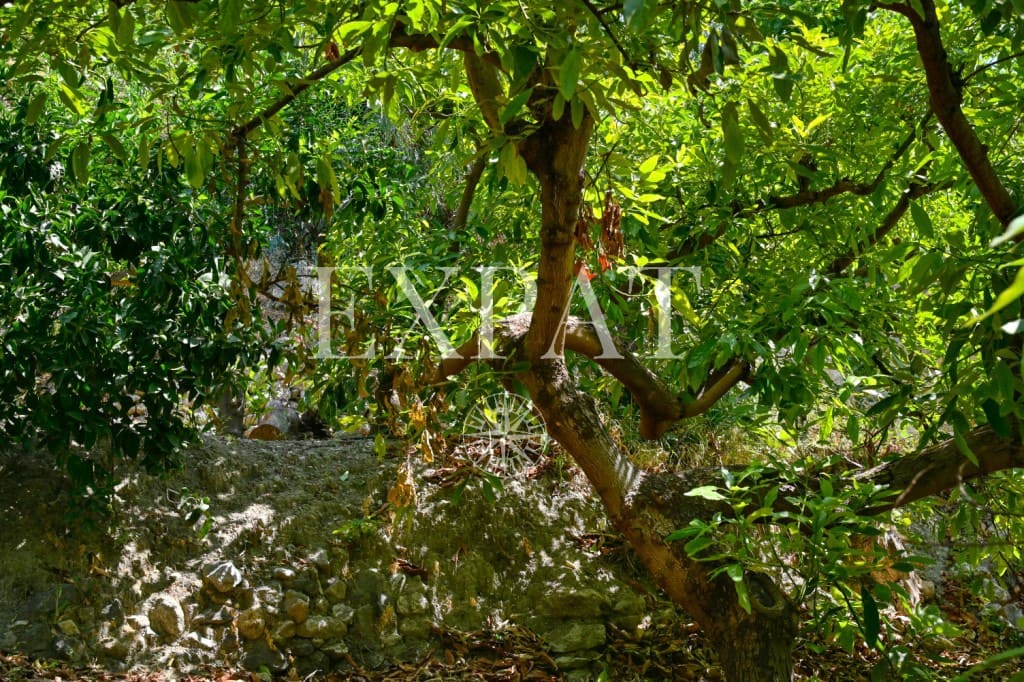 4 soveværelse Finca/Landehus til salg i Canillas de Albaida med swimmingpool garage - € 390.000 (Ref: 9124883)