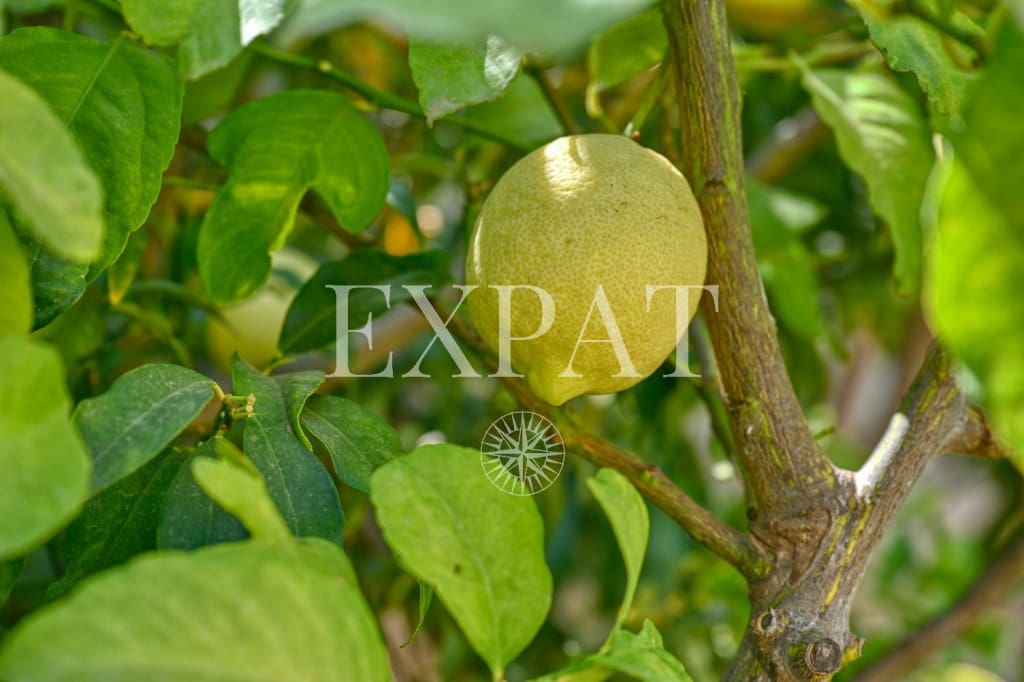 3 soveværelse Villa til salg i Torrox med swimmingpool - € 1.095.000 (Ref: 9230436)