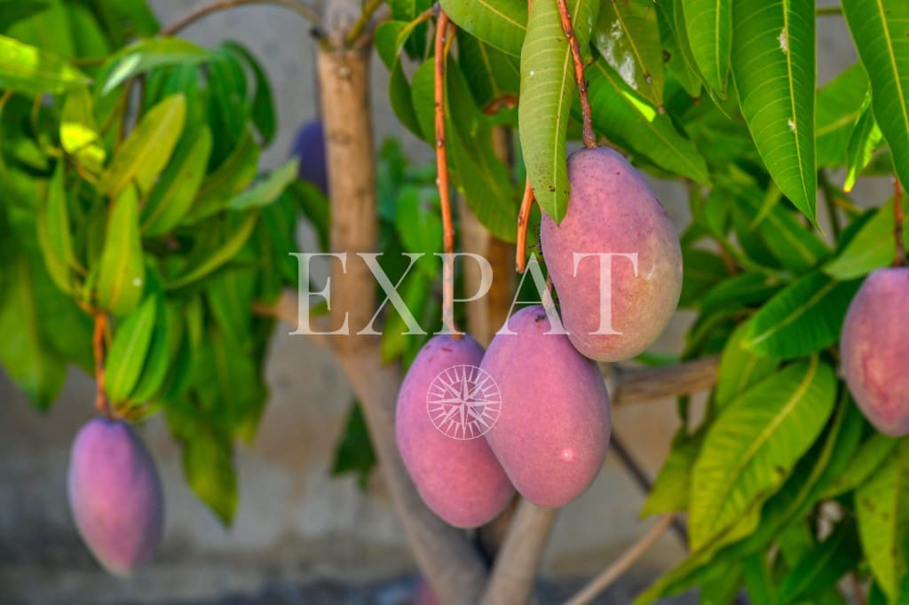 3 soveværelse Villa til salg i Torrox med swimmingpool - € 1.095.000 (Ref: 9230436)