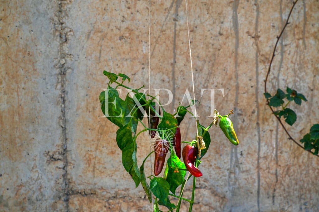 3 soveværelse Villa til salg i Torrox med swimmingpool - € 1.095.000 (Ref: 9230436)