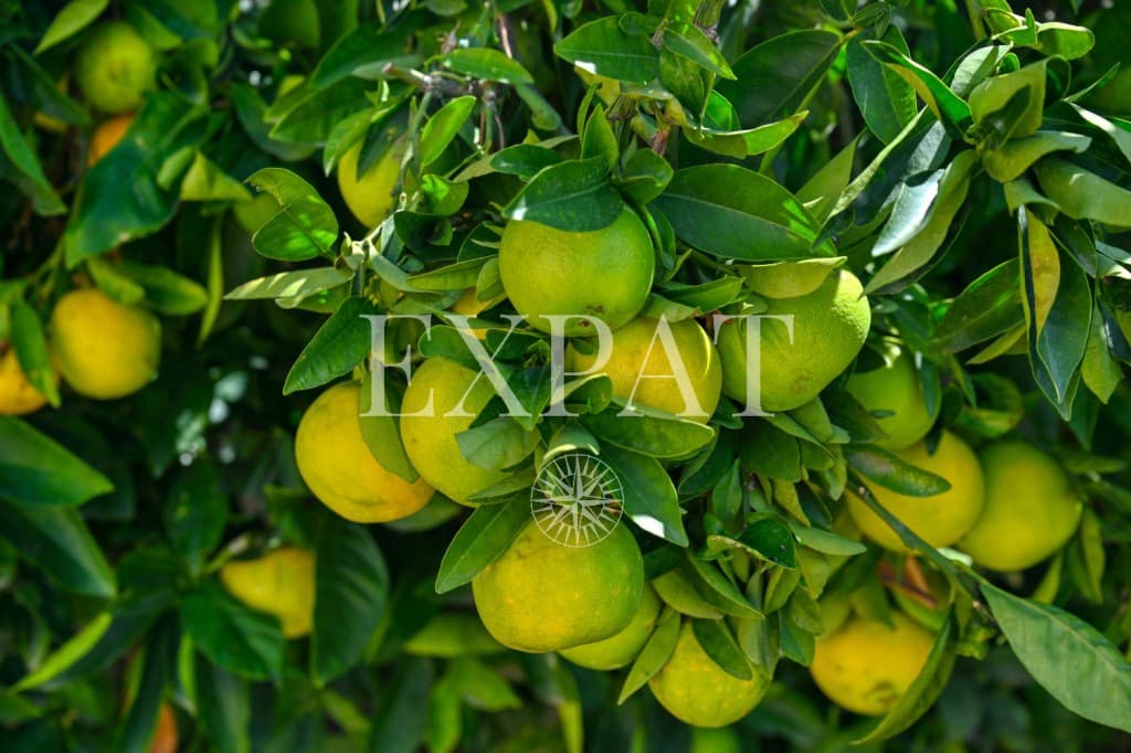 3 soveværelse Villa til salg i Torrox med swimmingpool - € 1.095.000 (Ref: 9230436)