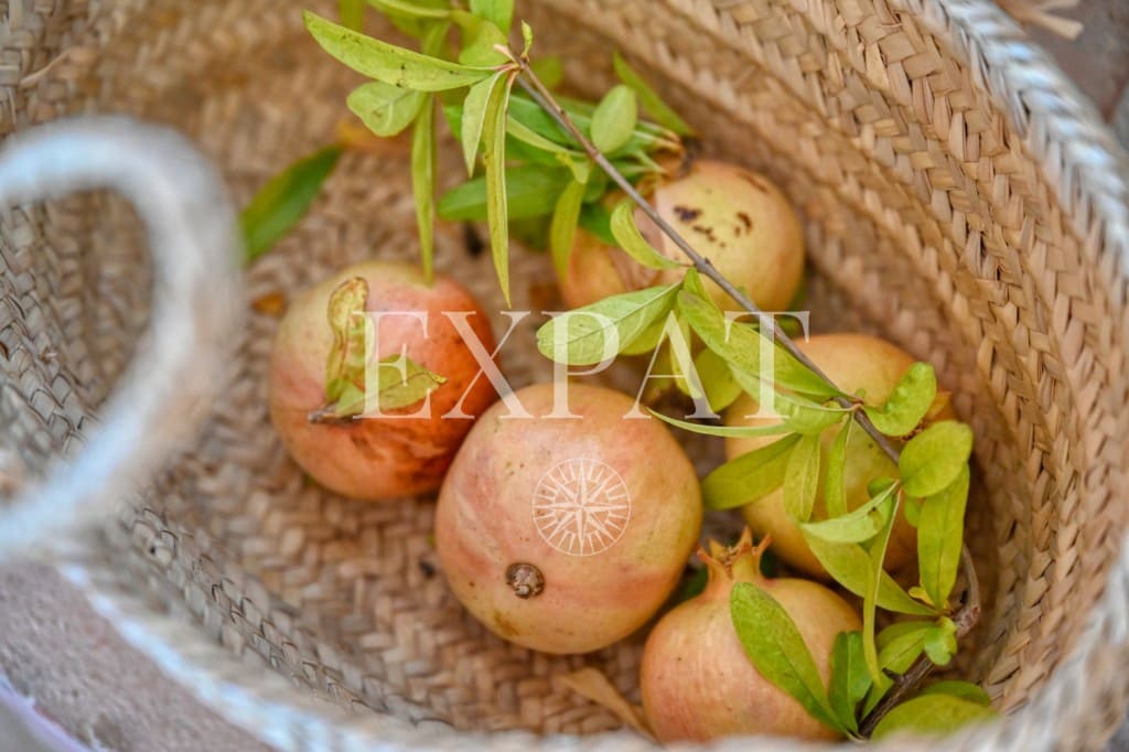 4 chambre Finca/Maison de Campagne à vendre à Alcaucin avec piscine - 575 000 € (Ref: 9300888)