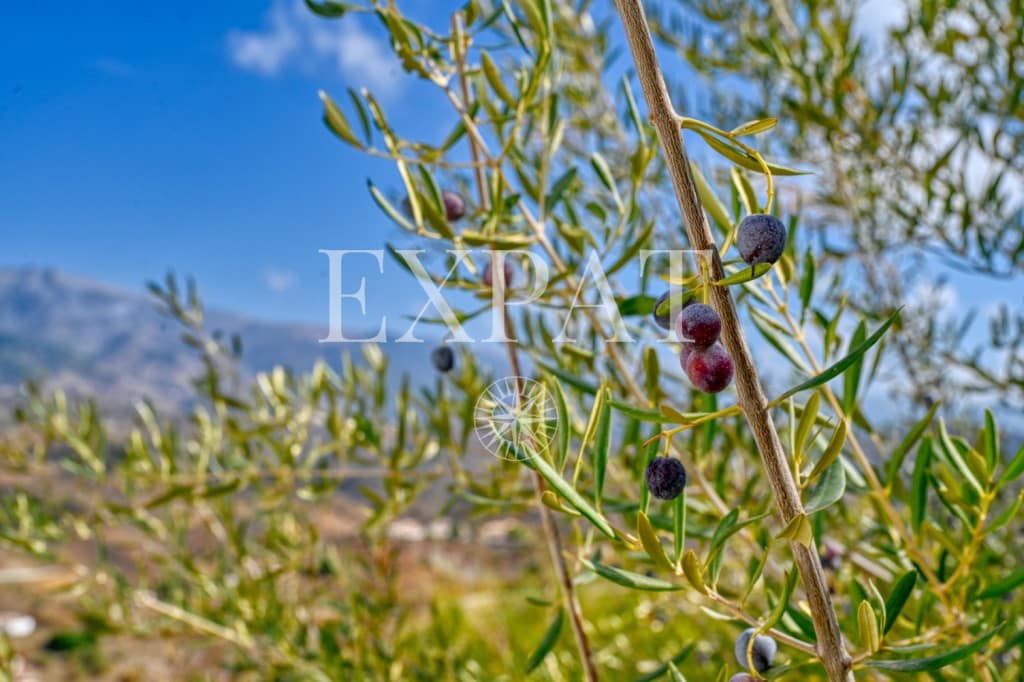 5 slaapkamer Finca/Landhuis te koop in Arenas met zwembad - € 795.000 (Ref: 9334571)