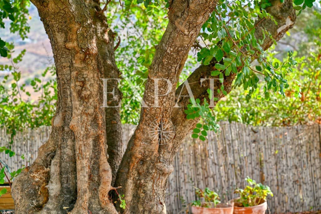 5 slaapkamer Finca/Landhuis te koop in Arenas met zwembad - € 795.000 (Ref: 9334571)