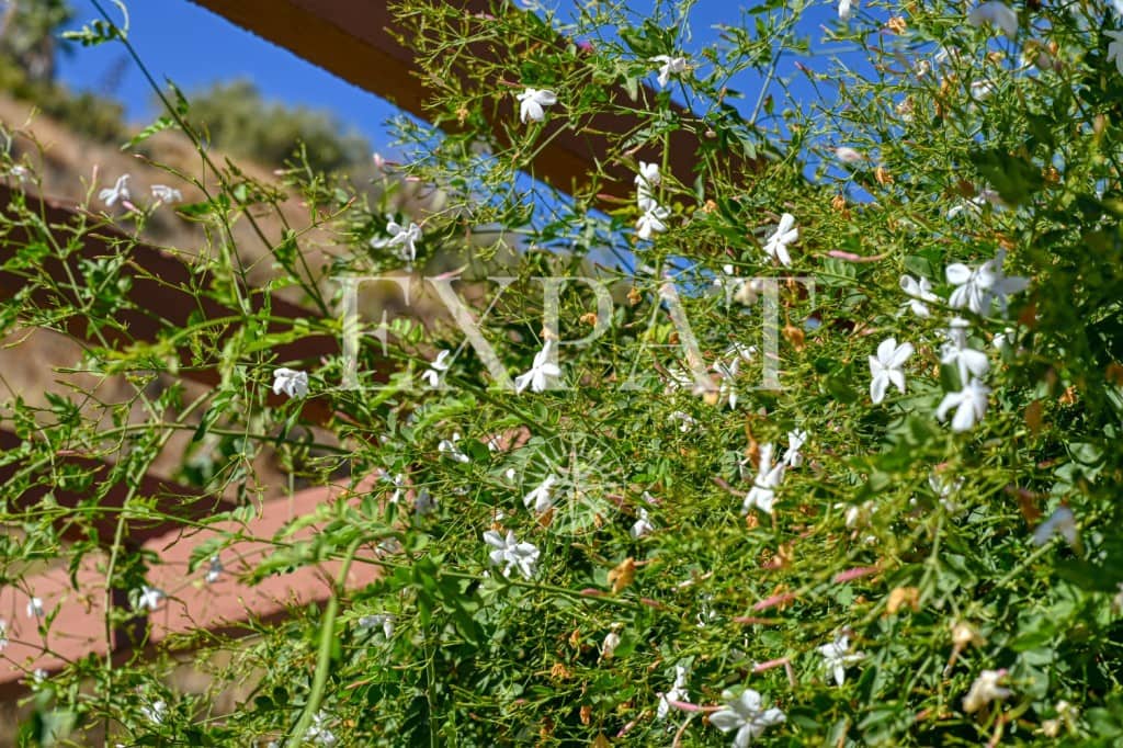 3 soveværelse Finca/Landehus til salg i Archez med swimmingpool - € 350.000 (Ref: 9342053)