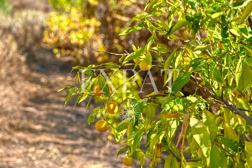 1 quarto Quinta/Casa Rural para venda em Sayalonga - 235 000 € (Ref: 9357086)