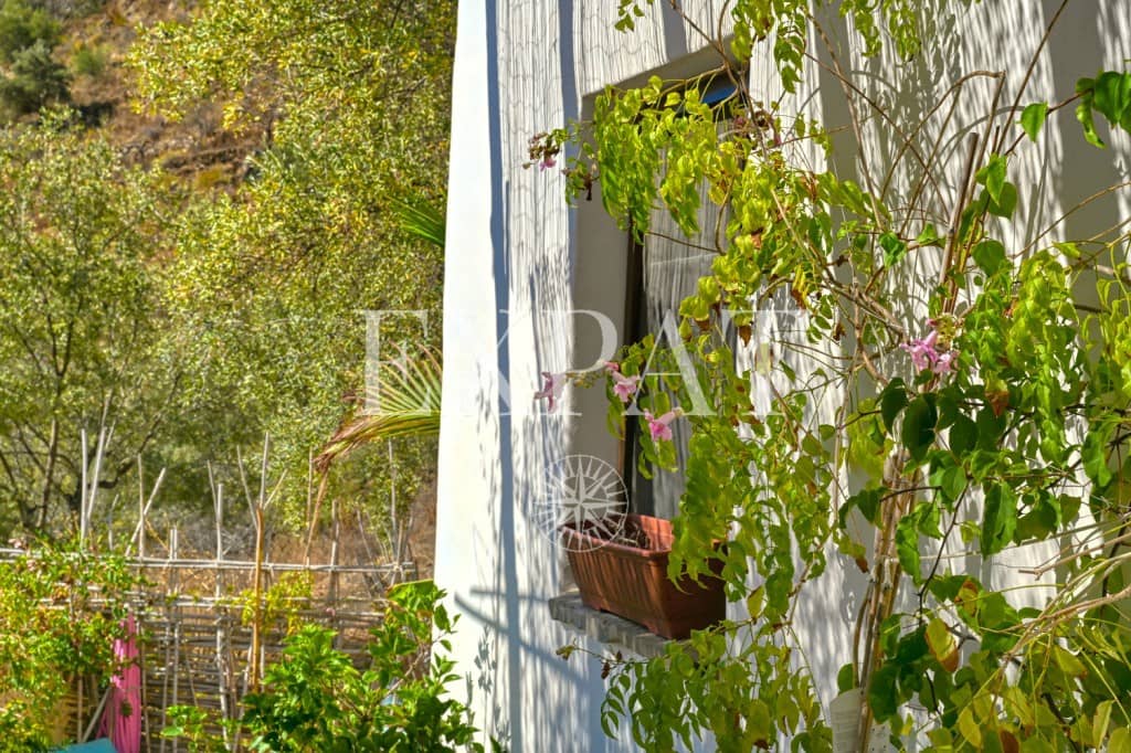 1 quarto Quinta/Casa Rural para venda em Sayalonga - 235 000 € (Ref: 9357086)